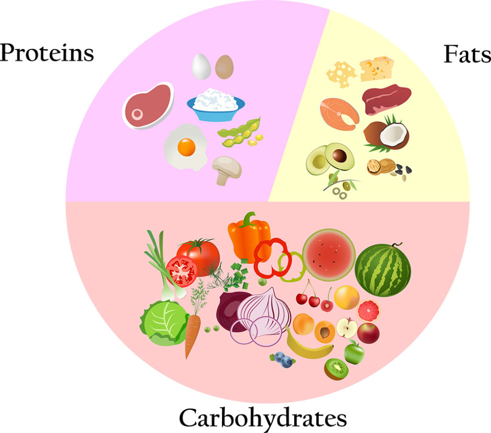 Soccer Nutrition & The Footballers Diet Understanding Sports Nutrition